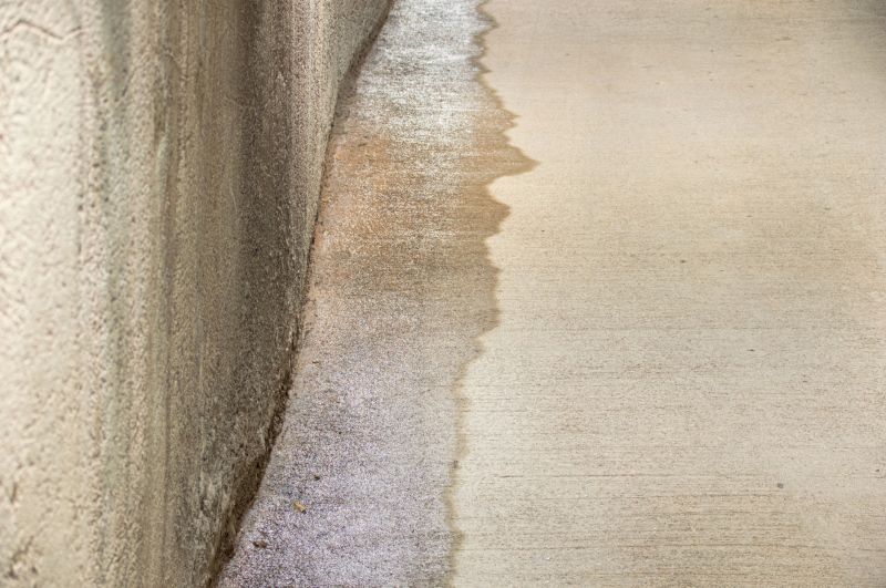 Leaking Foundation Repair in Douglas County, CO